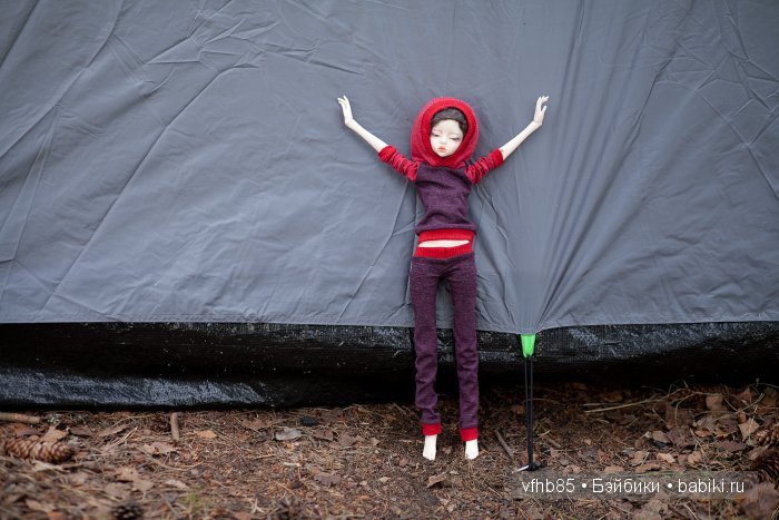 Продолжаем о походе — Гибридизация кукол BJD (БЖД): пересадка головы (фото 5)