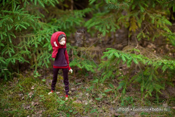 Среди сосен и ёлочек — Гибридизация кукол BJD (БЖД): пересадка головы (фото 2)