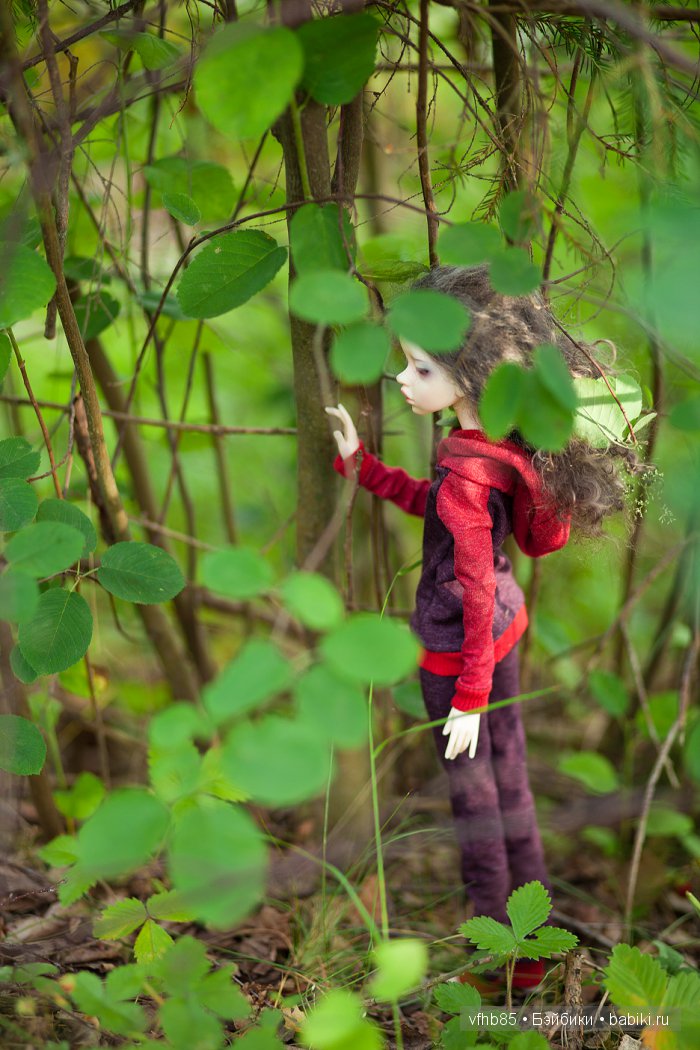 Среди сосен и ёлочек — Гибридизация кукол BJD (БЖД): пересадка головы