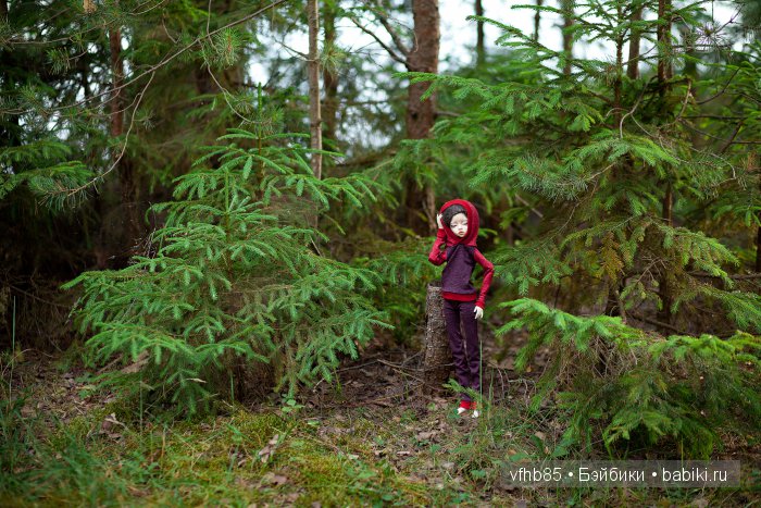 Среди сосен и ёлочек — Гибридизация кукол BJD (БЖД): пересадка головы (фото 5)