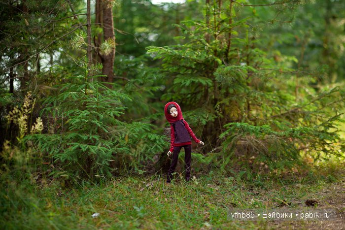Среди сосен и ёлочек — Гибридизация кукол BJD (БЖД): пересадка головы