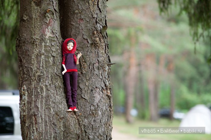 Продолжаем о походе — Гибридизация кукол BJD (БЖД): пересадка головы (фото 7)