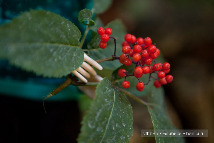 Старый Некоуз — Гибридизация кукол BJD (БЖД): пересадка головы (фото 10)