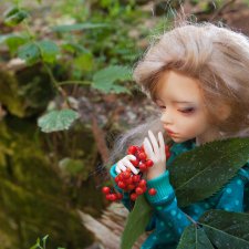 Старый Некоуз