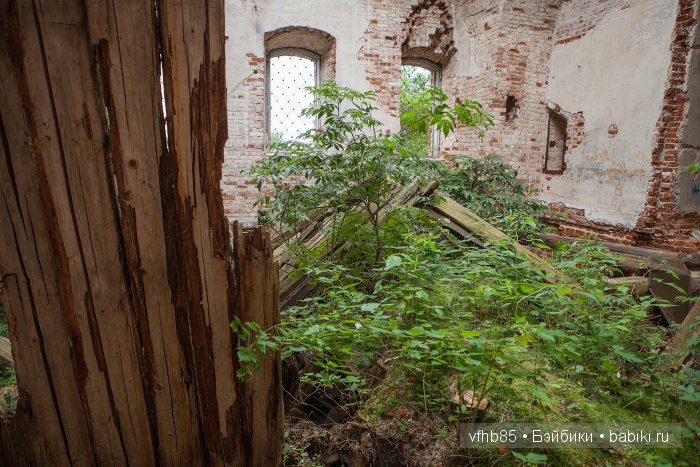 Деревья на камнях — Гибридизация кукол BJD (БЖД): пересадка головы (фото 3)