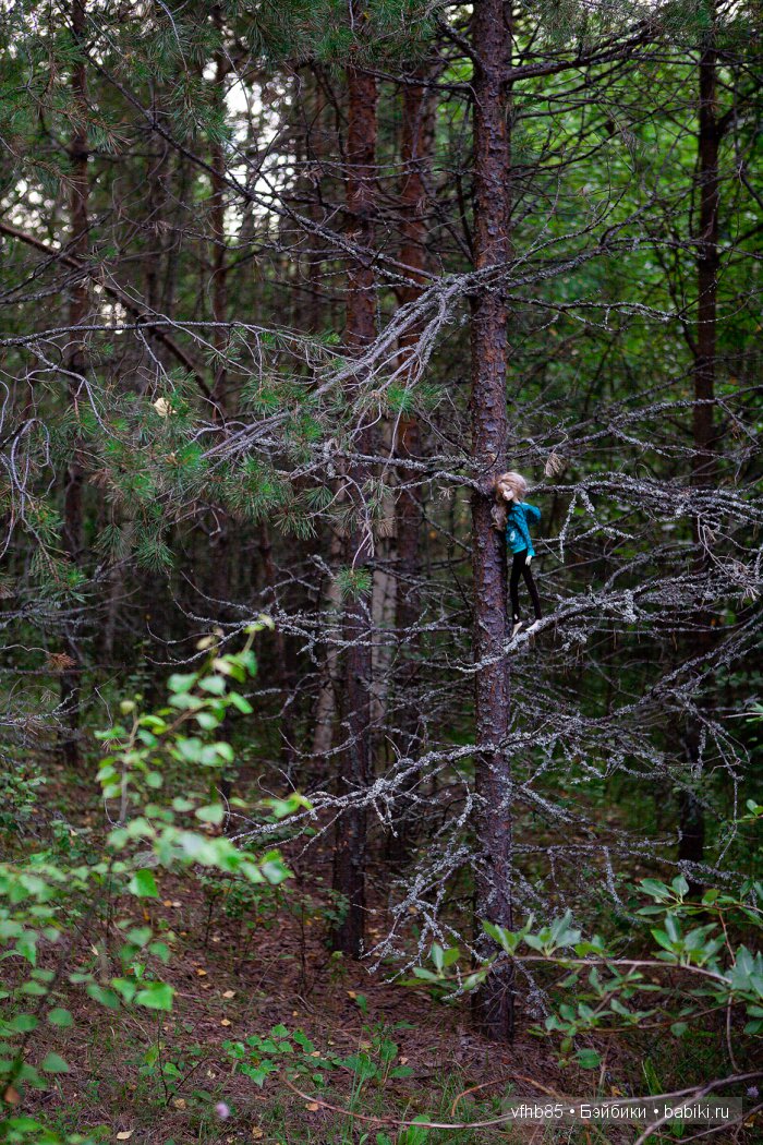 Первый день похода — Гибридизация кукол BJD (БЖД): пересадка головы (фото 8)