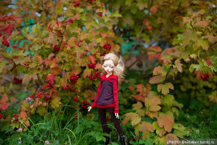 И еще немного осенней прогулки (фото 8)