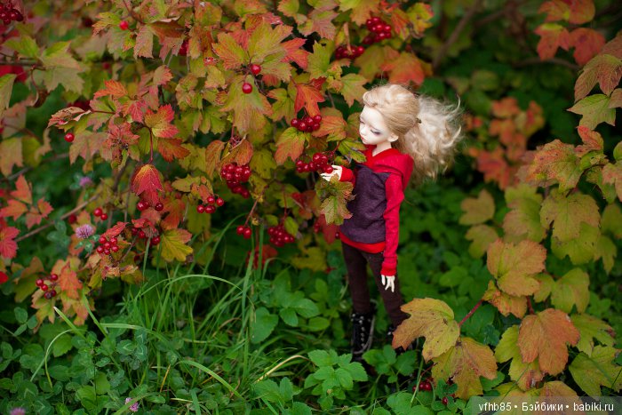 И еще немного осенней прогулки (фото 9)