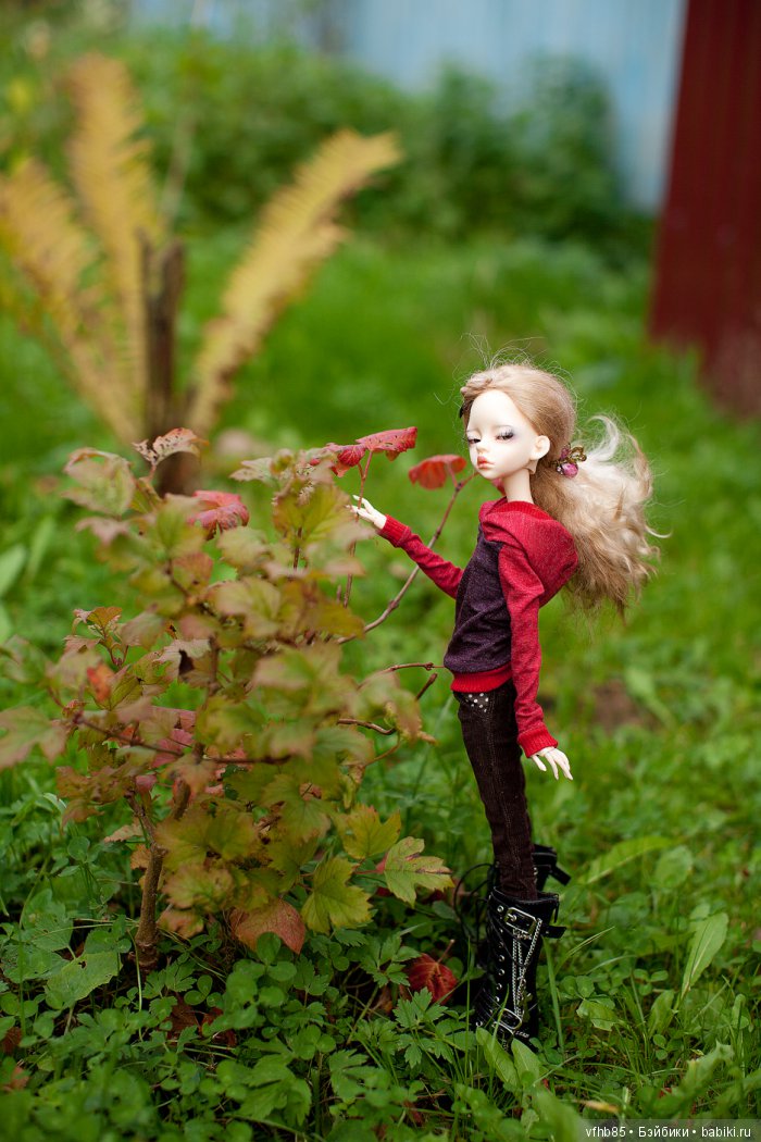 И еще немного осенней прогулки