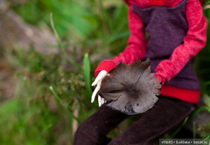 Осенняя прогулка Вивьен (продолжение) (фото 7)