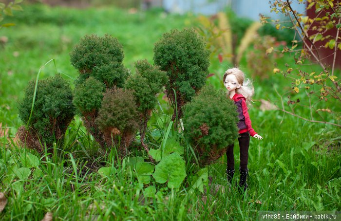 Осенняя прогулка Вивьен (продолжение)