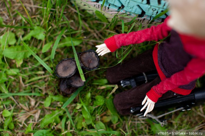 Осенняя прогулка Вивьен (продолжение) (фото 2)