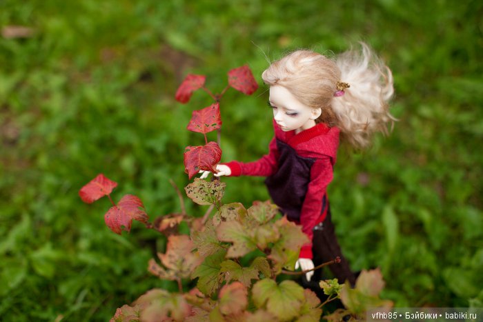И еще немного осенней прогулки (фото 2)