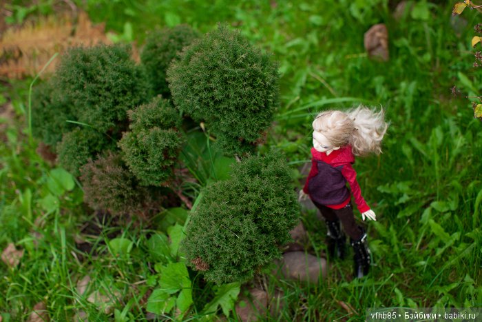 Осенняя прогулка Вивьен (продолжение)