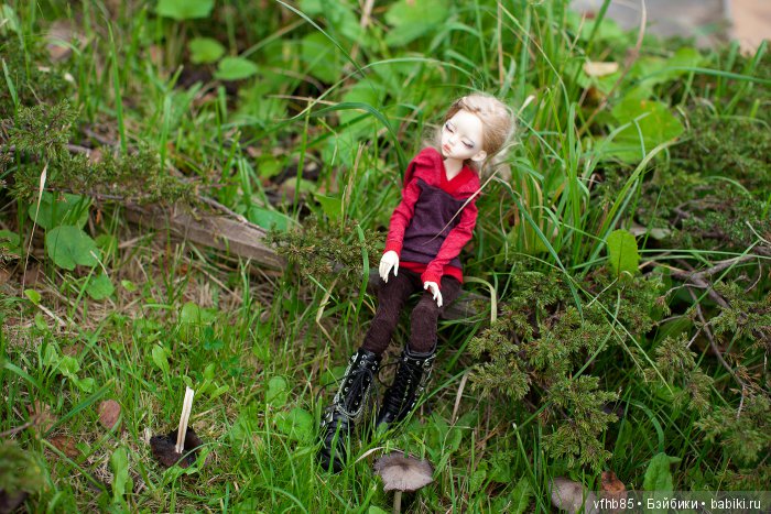 Осенняя прогулка Вивьен (продолжение) (фото 10)