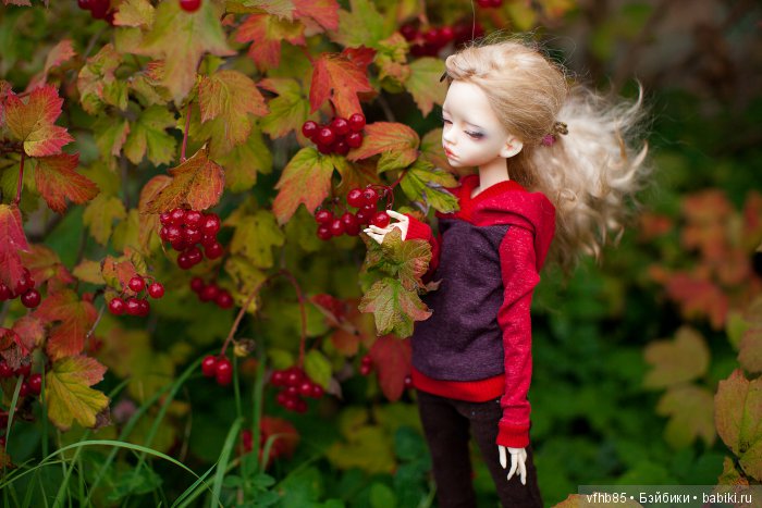 И еще немного осенней прогулки (фото 10)