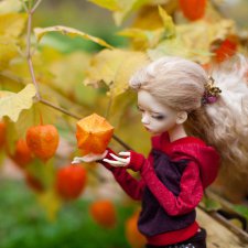 Осенняя прогулка Вивьен