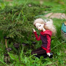 Осенняя прогулка Вивьен (продолжение)