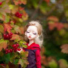 И еще немного осенней прогулки