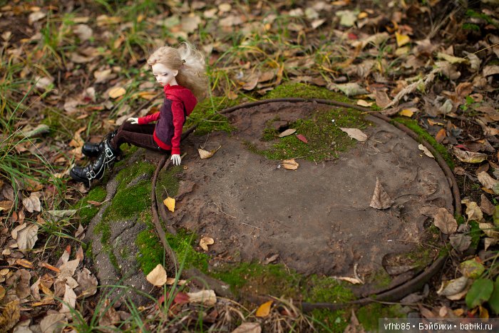 Еще небольшая осенняя прогулка с Вивьен (фото 10)