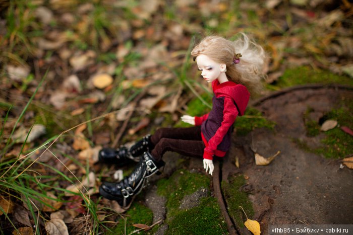 Еще небольшая осенняя прогулка с Вивьен (фото 5)