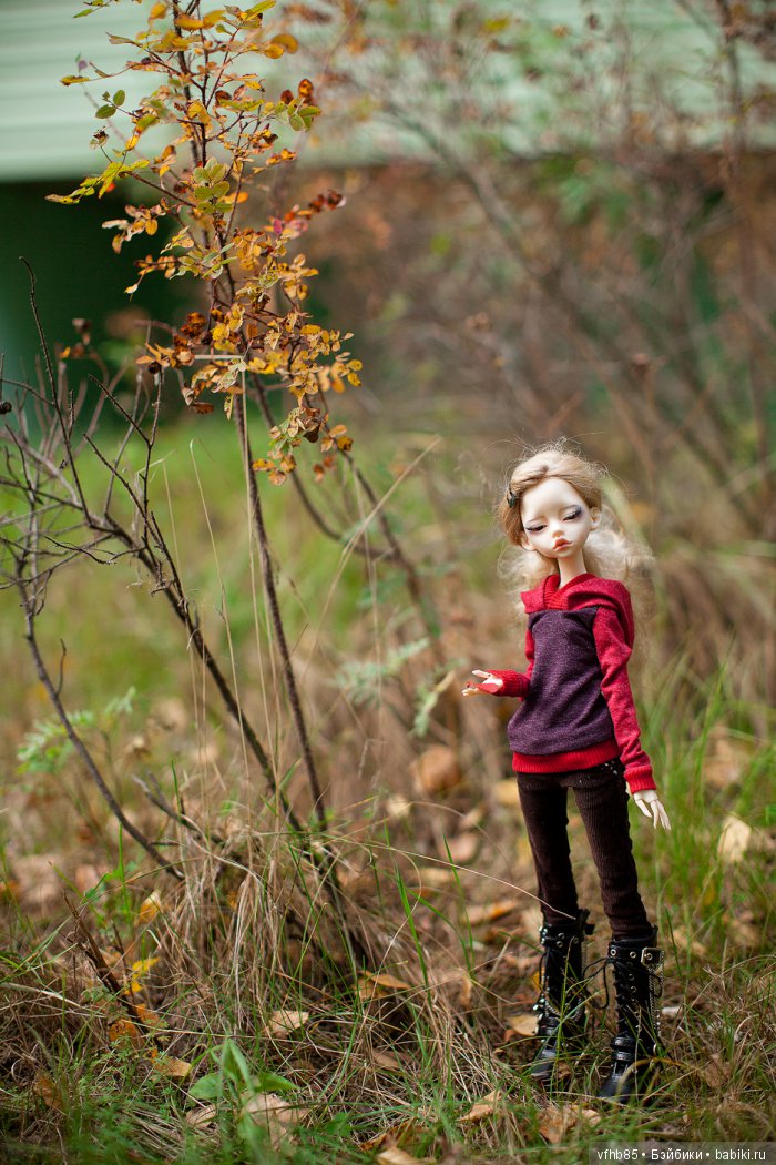 Еще небольшая осенняя прогулка с Вивьен (фото 3)