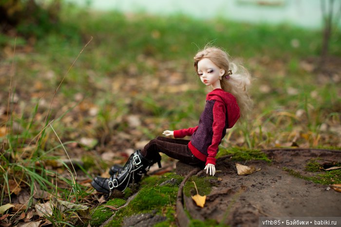 Еще небольшая осенняя прогулка с Вивьен (фото 9)