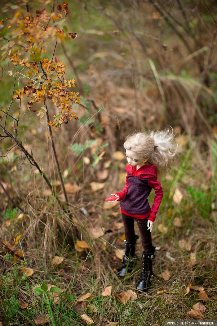 Еще небольшая осенняя прогулка с Вивьен