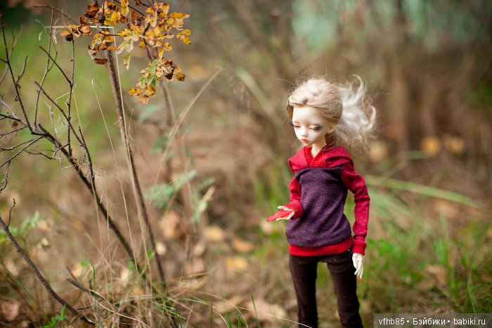 Еще небольшая осенняя прогулка с Вивьен (фото 2)