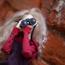 Поездка в Раево