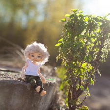 Первая прогулка Мармеладика