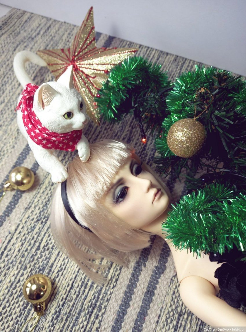 Миссия на пять с плюсом — Фотоистории с куклами BJD (БЖД): сериалы (фото 2)