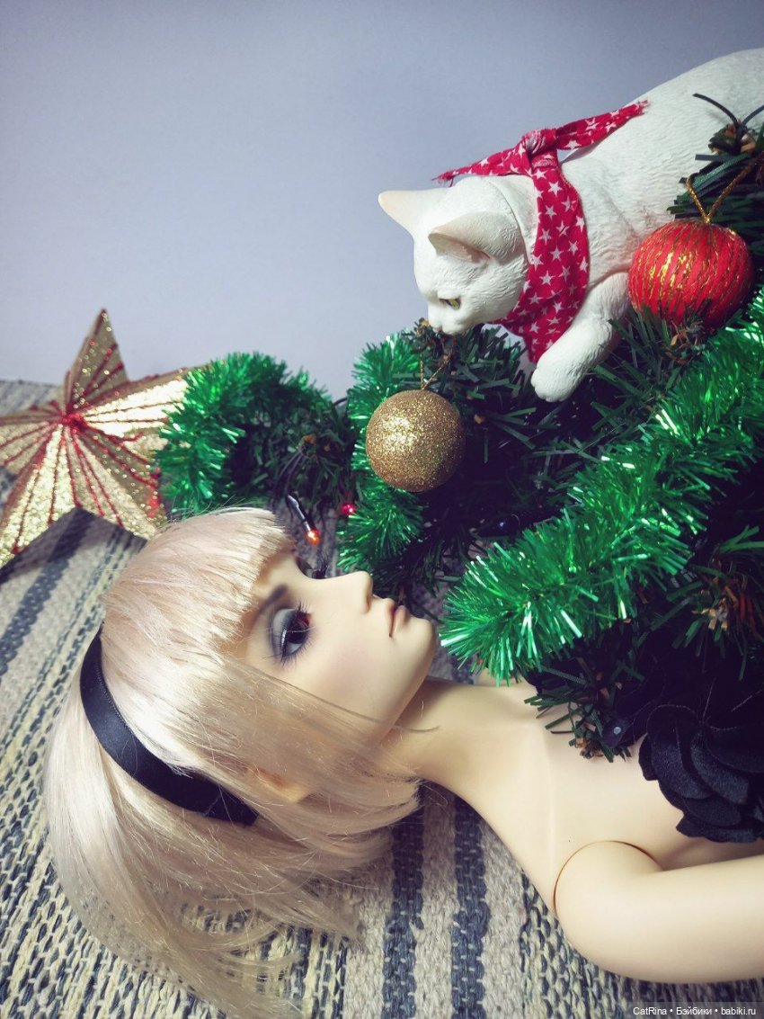 Миссия на пять с плюсом — Фотоистории с куклами BJD (БЖД): сериалы (фото 3)