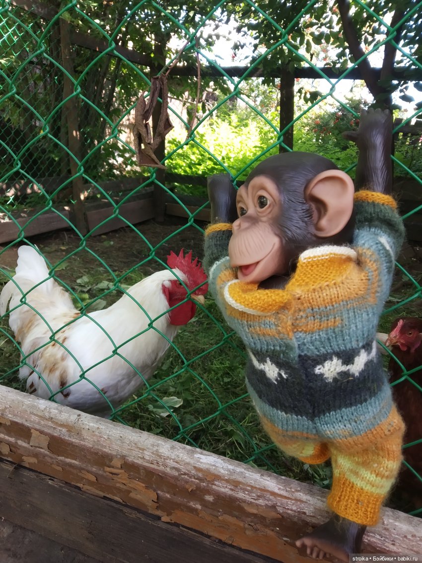 Тинхен от Susi Eimer (Сьюзи Аймер для Готц)