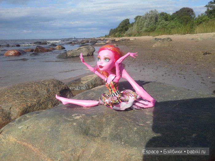 Гулиопа Джелингтон (Gooliope Jellington) Monster High - Freak du Chic (фото 3)