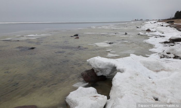 По синему морю. В поисках дома (фото 2)