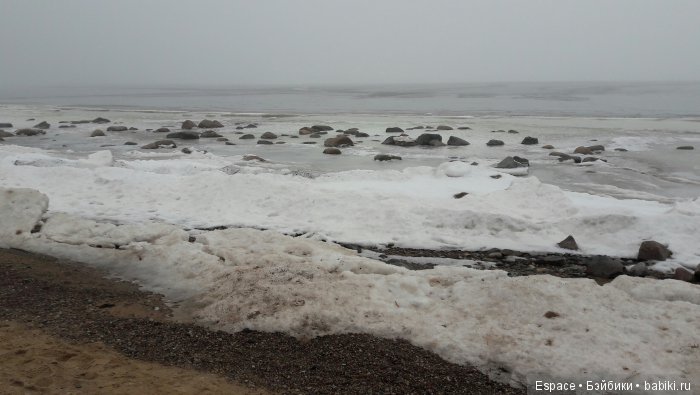 По синему морю. В поисках дома