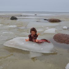 По синему морю. В поисках дома