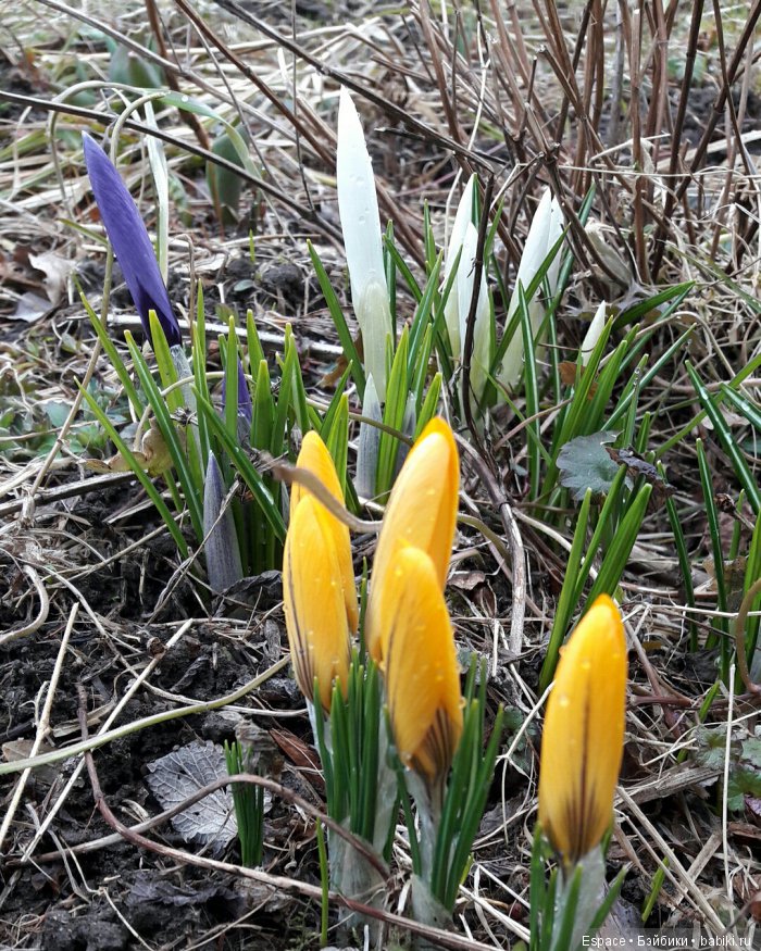 Женя, с Днем Рождения 1 апреля)))