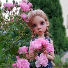 Новая страница