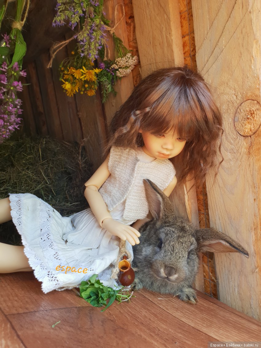 Сиенна 3. Как снять кролика (фото 5)