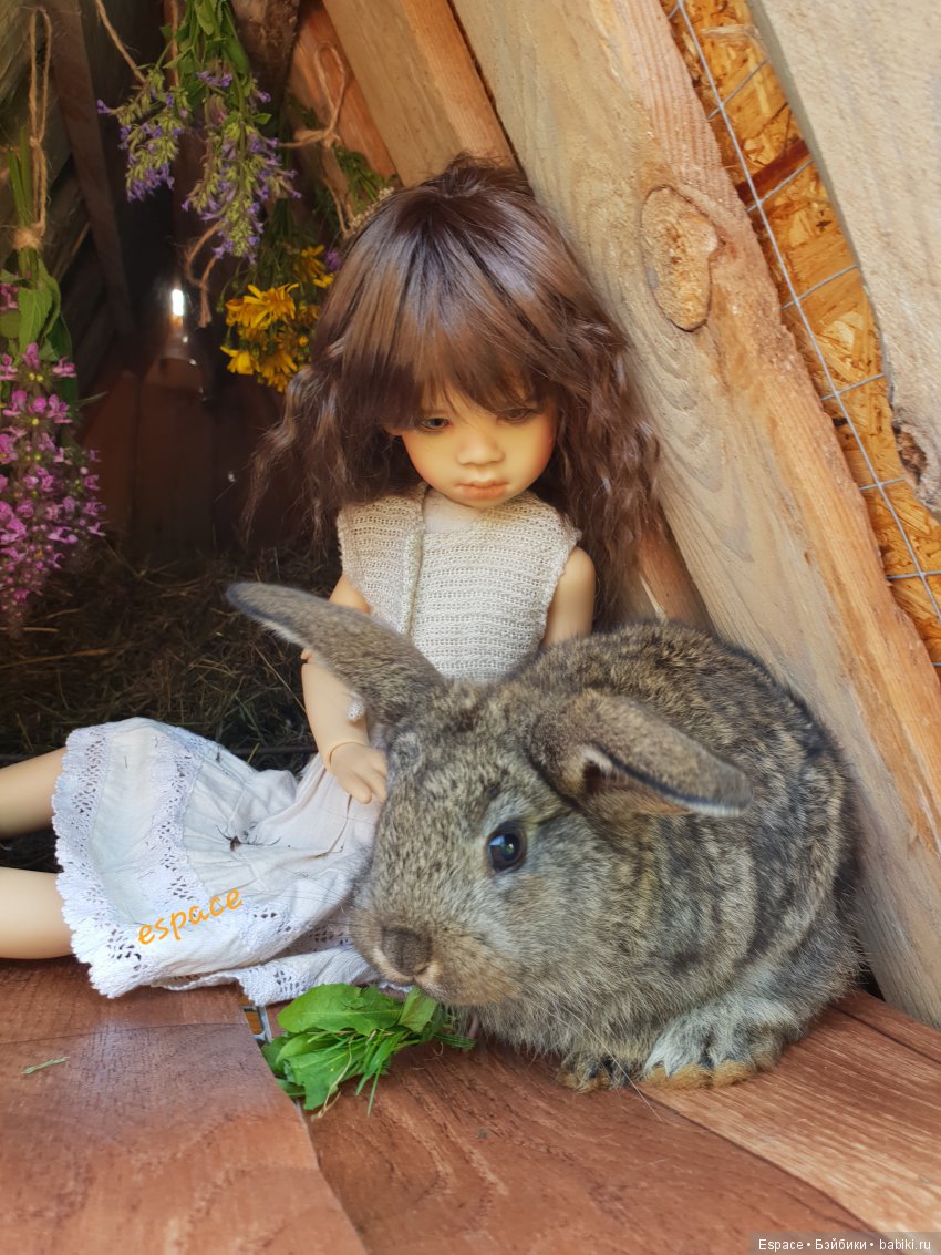 Сиенна 3. Как снять кролика (фото 6)