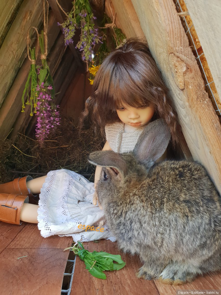 Сиенна 3. Как снять кролика (фото 7)