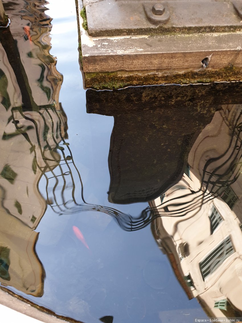 Дашкины приключения — Куклы L