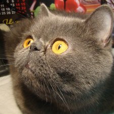 "Золотое сечение"  или почему иногда простые с виду вещи, стоят дорого