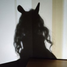 В одном сером