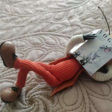 Единственный в мире таракан