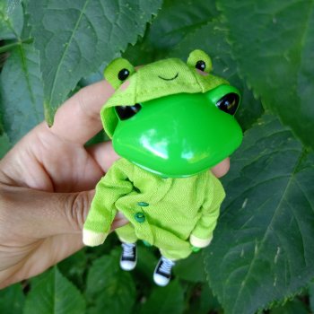 Прогулка с Клавой