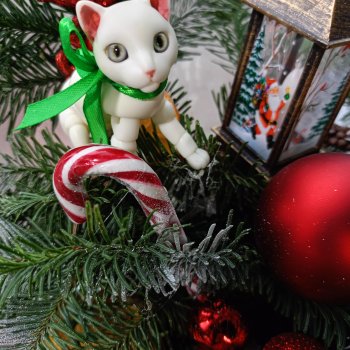 Котьи будни