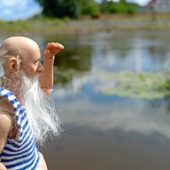 Один летний день Петровича